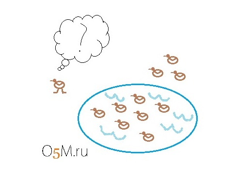 ducks